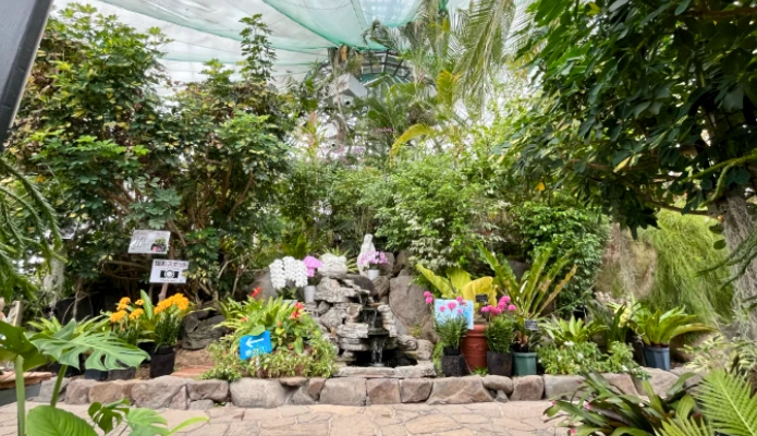 兵庫県姫路市「手柄山温室植物園」の熱帯大温室